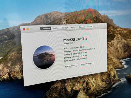 Apple iMac 21.5" 2013 / Intel Core i5 8GB RAM 1TB HDD